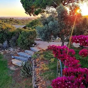  Campo de lujo Oasis Camp Portugal